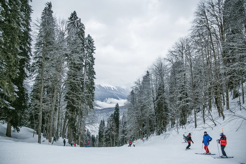 Ski resorts